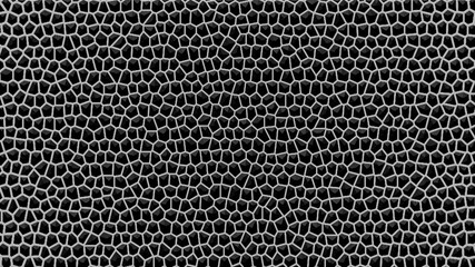 black and white background