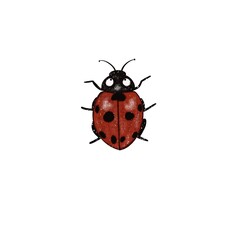 Illustration with red bug on white background. Insect print with beetle ladybug for kids design, textile, fabric, wallpapers, paper, books, nursing. Isolated 