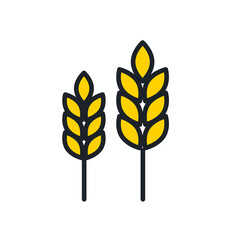 Wheat icon. Wheat spikelets isolated line color icon