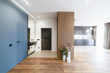 New, stylish, modern interior design of a black kitchen with a blue wall