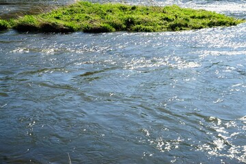 Grüne Grasinsel in Flusslandschaft mit Wellen bei Wind und Sonne im Frühling 