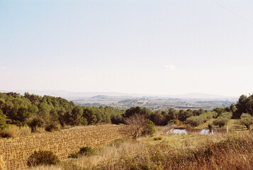 Analog Spanish Landscape 2