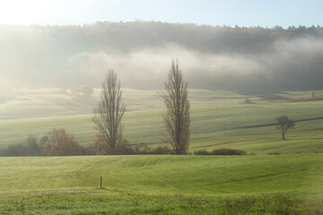 Fog over a hill and meadow with trees on a sunny fall day in Rheinland Pfalz, Germany.