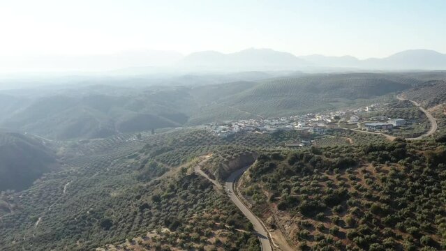 survol des champs d'oliviers (oliveraies), hacienda et village blanc en Andalousie dans le sud de l'Espagne