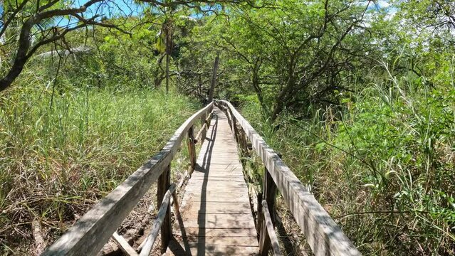 Wooden bridge pathway over marshy river with vegetation thicket