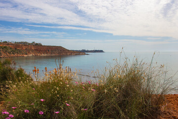 Vega Baja del Segura - Orihuela Costa - Campoamor