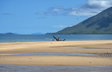 Fototapeta na wymiar Wangetti Beach - Far North Queensland Australia