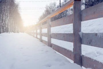 There is a wooden fence along the winter birch alley.