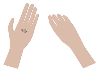 Sow seeds isolated vector illustration