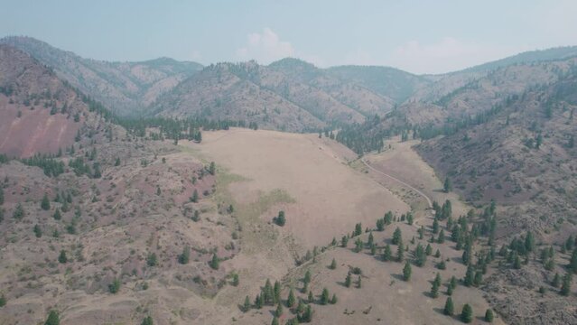 Montana Pine Trees On Smoky Mountain Range Flathead Region