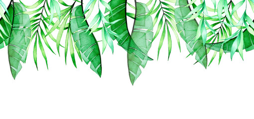 watercolor seamless border with transparent tropical leaves. green banana and palm leaves. x-ray