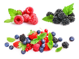 Set of different wild fresh berries isolated on white background