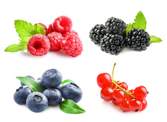Set of different wild fresh berries isolated on white background