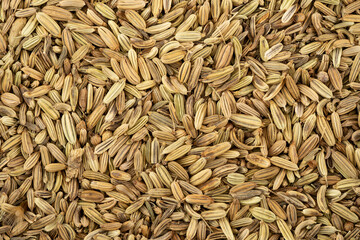 Top view macro photo of dried fennel seeds.