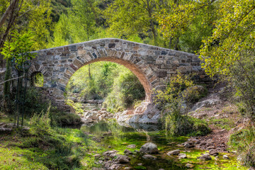 Old stone bridge in the forest. This old bridge is of medieval origin. It is built of stone and is located in the town of San Martin, in the mountains of La Rioja, Spain.