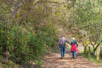 Retired couple strolling along the path around the Aureilhan pond. Mimizan. Landes