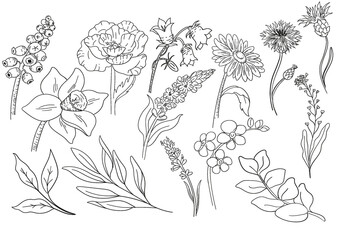 Wild Flowers illustration. Great for creating greeting cards, wedding invitations, summer and birthday parties,  scrapbooking and other
