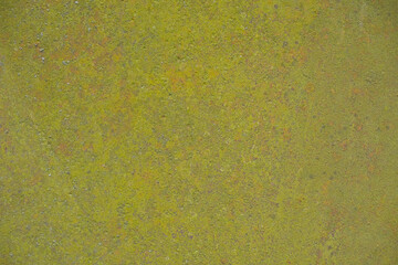 Rusty metal surface with lichen. Copy space. 