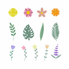 vector illustration, set of various flowers and plants on a white isolated background. collection of vector watercolor plants and flowers. elements for floral pattern
