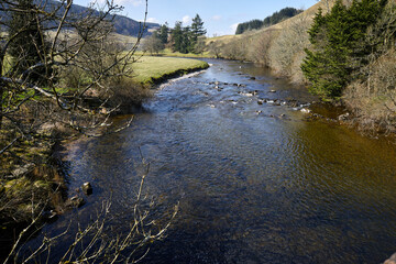 A sunny view upstream of the River Esk from the bridge at Bentpath