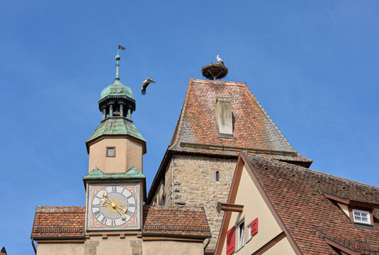 storks nest on a city wall tower in the medieval cty of Rothenburg on Tauber, Franconia, Germany