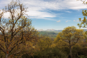Hiking in the Spring Coastal Forest Hills of Sicily in Italy, Europe