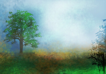 Fototapeta na wymiar 神秘的な霧の森の背景イラスト朝の光のイメージ