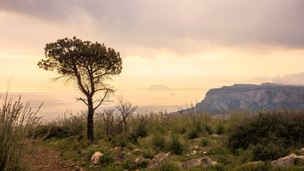 Fototapeta na wymiar Sicilian morning coastal landscape near Mondello, Palermo in spring Italy in Europe at sunrise