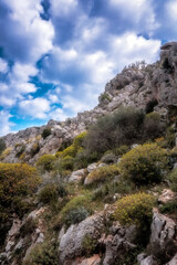 Fototapeta na wymiar Sicilian Spring Coastal Hills on a lovely spring day in Italy, Europe