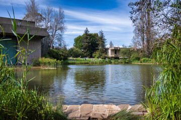 view of Gulbenkian garden Lisbon Downtown