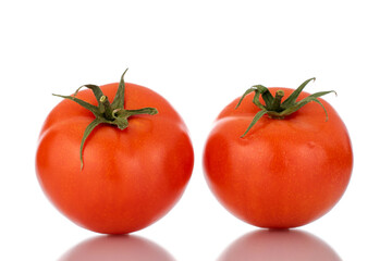 Two red ripe tomatoes, macro, isolated on a white background.