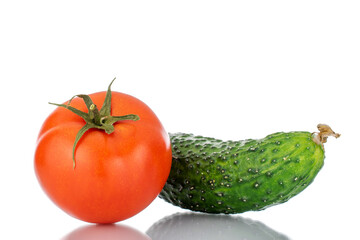 One ripe tomato and cucumber, macro, isolated on white background.