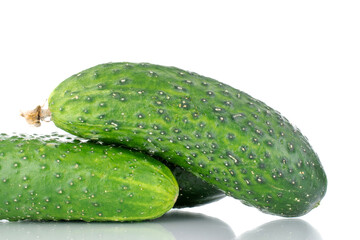 Three ripe cucumbers, macro, isolated on a white background.