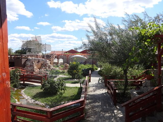 Garden with Wooden Bridges