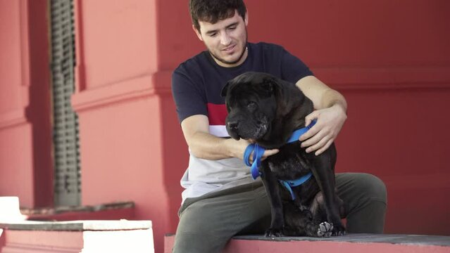 Young man holding cute funny Sharp pei dog on hands.