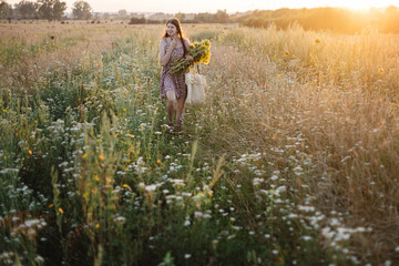 Beautiful woman gathering sunflowers in warm sunset light in summer meadow. Stylish young female picking sunflowers in evening field. Tranquil atmospheric moment in countryside