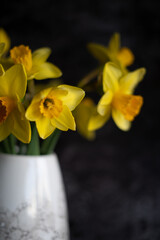 daffodils in vase