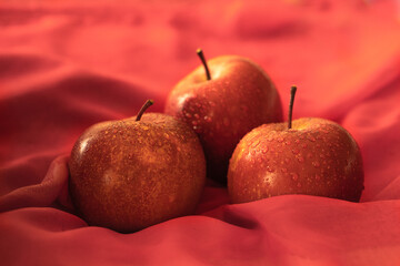 Tree red testy apples on red background. High quality photo