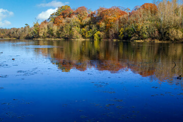 Fototapeta na wymiar Lake on a sunny autumn day