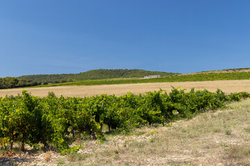 Fototapeta na wymiar Typical vineyard near Vinsobres, Cotes du Rhone, France
