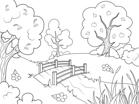 Landscape nature, garden with trees and river. Wooden bridge. Children coloring book.