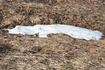 A thawed patch in the spring, a place where the snow melted and the earth opened up.