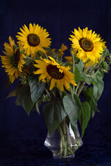 Still life. Beautiful bouquet of sunflowers on the dark blue background
