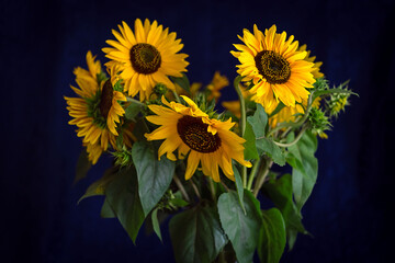 Still life. Beautiful bouquet of sunflowers on the dark blue background