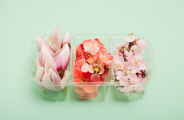 Pink and red flowers in plastic box on pastel green background. Nature against plastic concept.