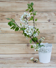 cherry blossoms in a white vase on a rustic background.