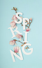 Spring letters with white and pink magnolia tree flowers and branches against pastel blue background. Minimal vertical nature season concept.