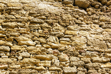 Background from a stone wall. Rakushnyak