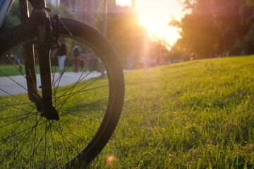 Fototapeta na wymiar Front wheel of a bicycle close-up in the park at sunset. Sports lifestyle