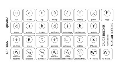 Standard Model of Elementary Particles vector design